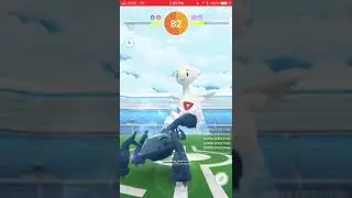 Togetic dou 29s BF no WB