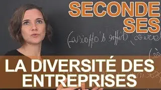 La diversit&eacute; des entreprises - SES - Seconde - Les Bons Profs