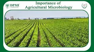 Agricultural Microbiology: Why Is Agricultural Microbiology Important? Beneficial Microorganisms
