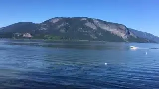 Shuswap Living