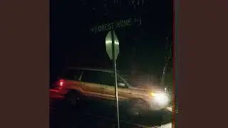 Forest Home - Night Drivers
