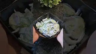 Creamy German Cucumber and Dill Salad😋#Shorts #salad #cucumber #healthy #germanfood