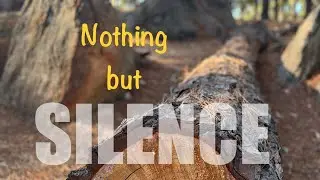 Peaceful morning walk | Nature&rsquo;s HEALING POWER | Pinoy Campers in South Australia