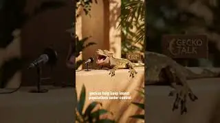 Gecko Talks: The Hidden Role of House Geckos #shorts #educationalvideo #wildlife