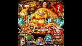 One Piece treasure cruise Nekomamushi  (CAT VIPER) Global Sugofest