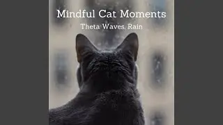 Radiant Cat's Rain Meditation Theta Waves