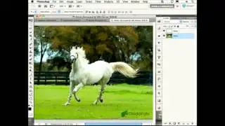 AcademicSuperstore.com presents Adobe Photoshop CS5 Extended