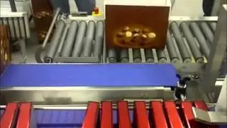 Transportsystemen Pralinart