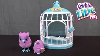 Little Live Pets Tweet Talking Owl and Baby with Cage from Moose Toys