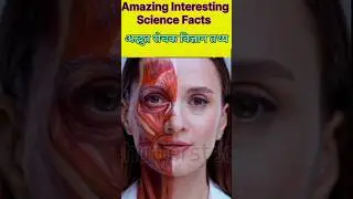 Amazing Science Facts #shortvideo  #facts #owl#starfish#kiwi bird#chicken#lizard#uranium #shrimp#ant