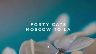 Forty Cats - Moscow to LA