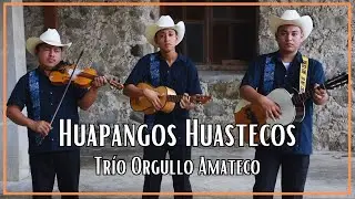Huapangos Huastecos por el trío Orgullo Amateco