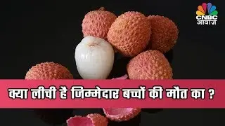 Bihar Encephalitis Deaths Linked To Litchis: Precautions To Take While Consuming The Fruit