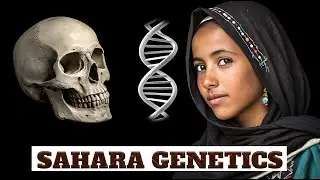 Scientists Reveal The Genetic Origins of Green Sahara.