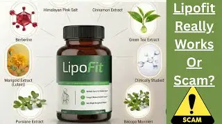 Lipofit Reviews: Does Lipofit Really Works Or A Scam?