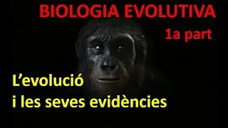 Biologia evolutiva (1a part) Evidències de l'evolució