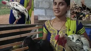 Assel farm visit in hoskote