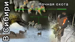 Ночная охота на кабана iRay Saim SCP 19W