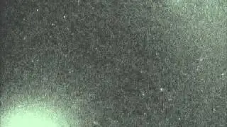 20101029 20101104 i
