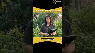 My Peace I give You - But there is a Catch