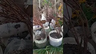 мені так багато не треба