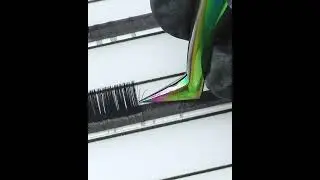 3D lashes fan