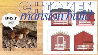 Chicken Mansion Build Day 3 - dealing with cheaper priced posts - bad decision!