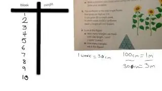 Patterns - Word Problems - Sunflower