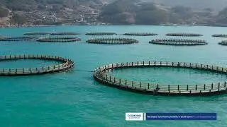 COSMOIND PE Marine Floating Structures_Round fish farming cage