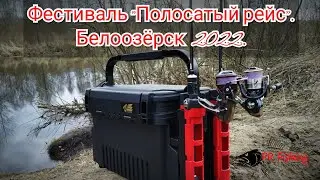 Фестиваль 