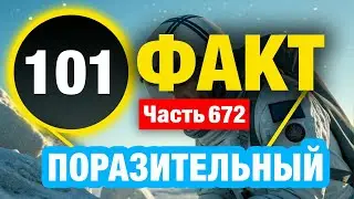 101 Неординарный Факт Который Сделает Вас Умнее