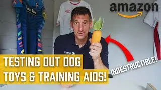 Putting Amazon Dog Toys And Training Aids To The Test!