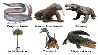 Dragons Were Real &mdash; The Creatures Behind the Myths Explained