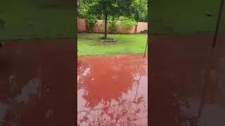 rain in jaffna