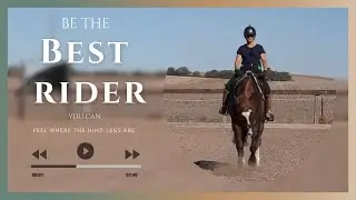 Improve Your Dressage Riding | Know Where Your Horses Feet Are