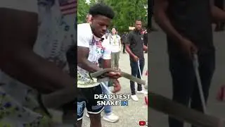 The Snake Handler Showdown #ishowspeed #amusementparkgame #snake #venom