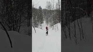 Шли, шли, и нашли!!! Оченьклассную и безопасную горку! Ну и сугробы все измерили 😜!
