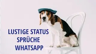 Lustige  Whatsapp Status Spr&uuml;che Coole Spr&uuml;che