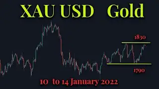 XAuUSD Gold Technical Analysis 10 to 14 January 2021