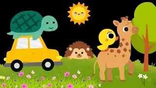 Baby Sensory Video - Tummy Time Newborn - Sensory Videos For Babies - High Contrast Baby Video