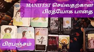 🧿 | நீங்கள் விரும்புவதை MANIFEST செய்வதற்கான பிரத்யோக பாதை | பிரபஞ்சம் #tamiltarot