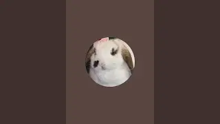 Creamy Bun Bun Popcorn is live! Poll: Are You Afraid of Death?