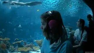 Seattle Aquarium