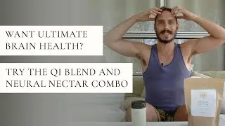 Want Ultimate Brain Health? Try the QI Blend and Neural Nectar Combo