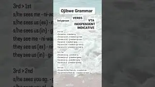 Ojibwe VTA, Independent Indicative, waabam - to see smb.