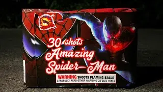 Amazing Spider-Man by Black Scorpion (200g 30s)