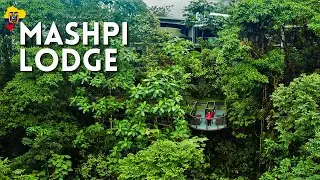 Mashpi Lodge: Ecuador Rainforest Hotel in the Clouds