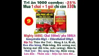 #CHNN 209a. C&aacute;ch trị Sương mai, Th&aacute;n thư, Phấn trắng, Rỉ sắt, Thối tr&aacute;i, Đen b&ocirc;ng, V&agrave;ng l&aacute; thối rễ