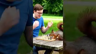 Make me lose badly in chess against a squirrel #chess #chessgame #funny #aiart #aivideo #aishorts
