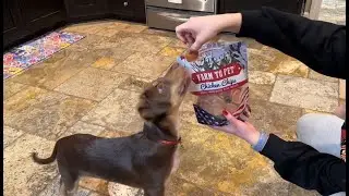 Farm to Pet Chicken Chips Review &mdash; Single‑Ingredient, Crunchy Dog Treats